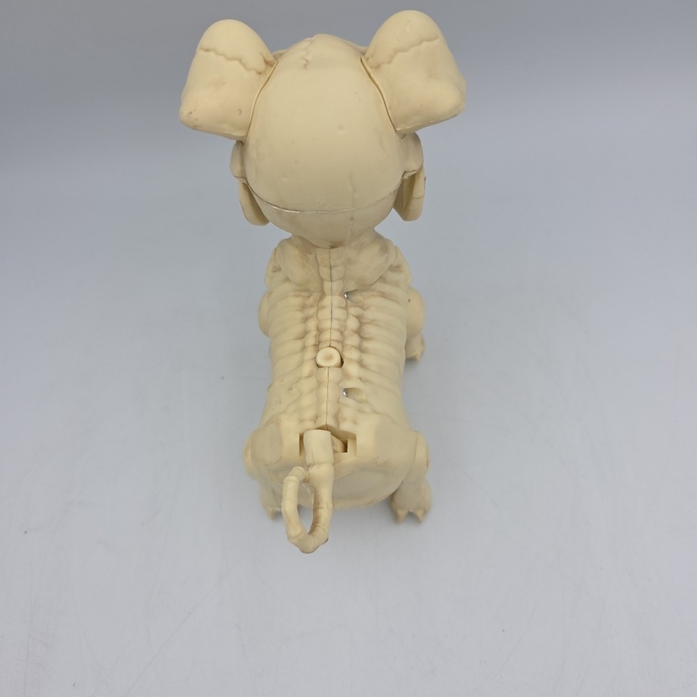 Animated Pig Skeleton 7"