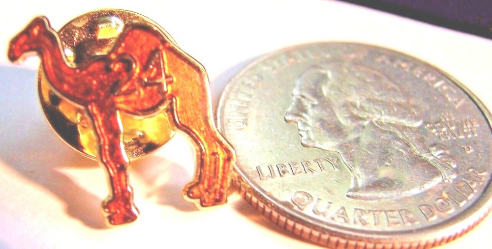 Alcoholics Anonymous Camel AA Lapel Hat Vest Pin 24 hour Sober