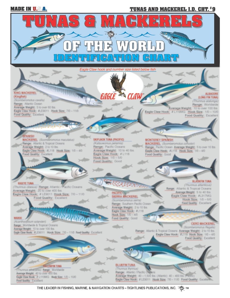 Tuna & Mackerel Fish Identification - Quick Reference Guide
