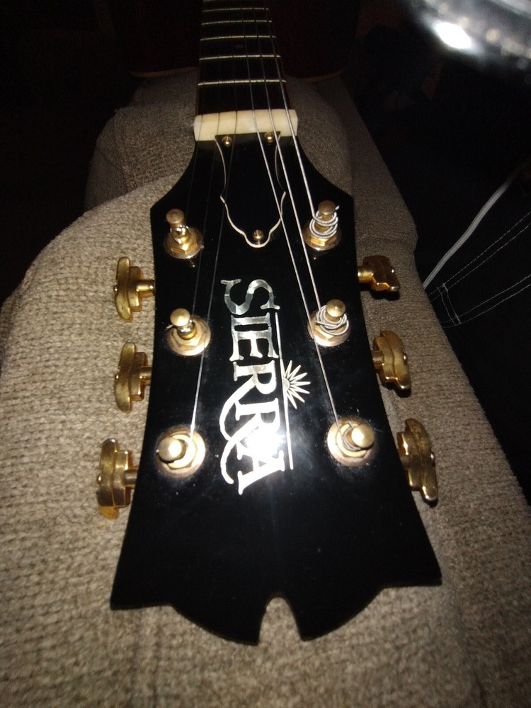 GUITAR!!!!! GREAT SHAPE sierra SJ88CE Wr