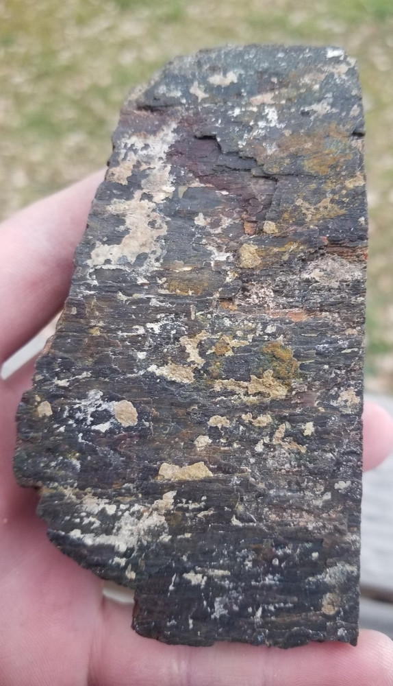 Agatized Dinosaur Gem Bone Natural Red Multicolor Roughcut 433g Specimen Cab Lap