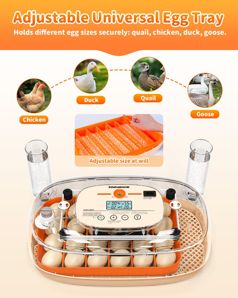 Egg Incubator for 24 Chicken Eggs with Automatic Turner, Digital Temperature Con