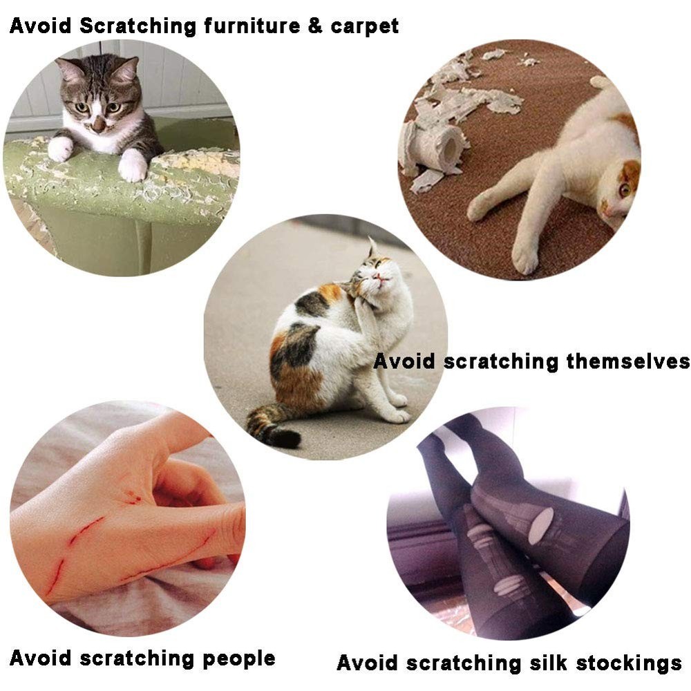 100pcs Cat Nail Caps/Tips Pet Cat Kitten Paws Covers Control Paws