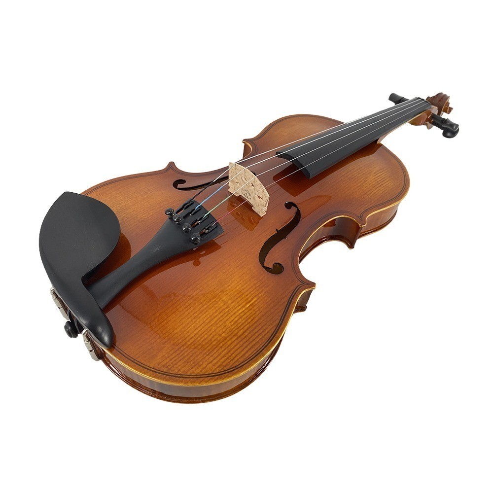 4/4 Violin Spruce Top Maple Back Beginner Gift Set with Case,Bow,Shoulder Rest