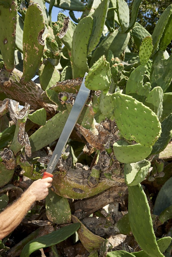 Tools MA 60062 ErgoHandle Machete, 22-Inch, Silver