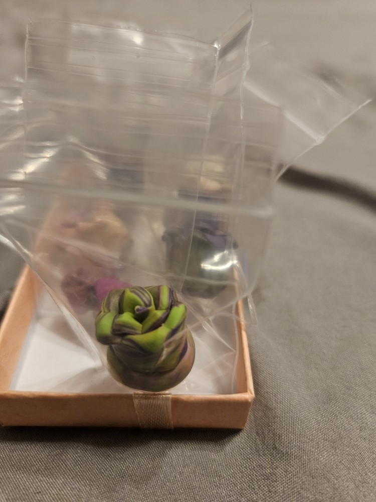 Succulent miniatures lot