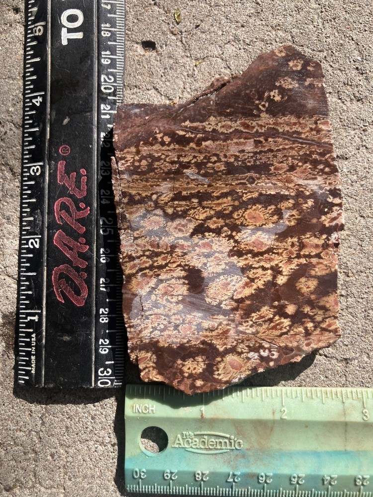 Bird’s Eye Rhyolite Slab