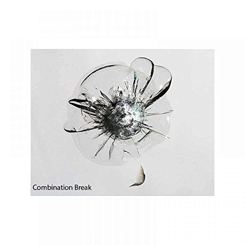 Windshield Repair Kit, Quick and Easy Durable Resin-Based DIY Solution for