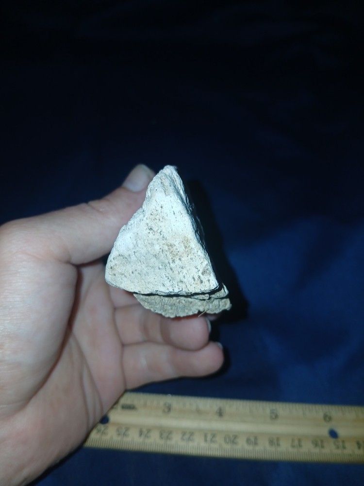 9 oz Texas Petrified Wood