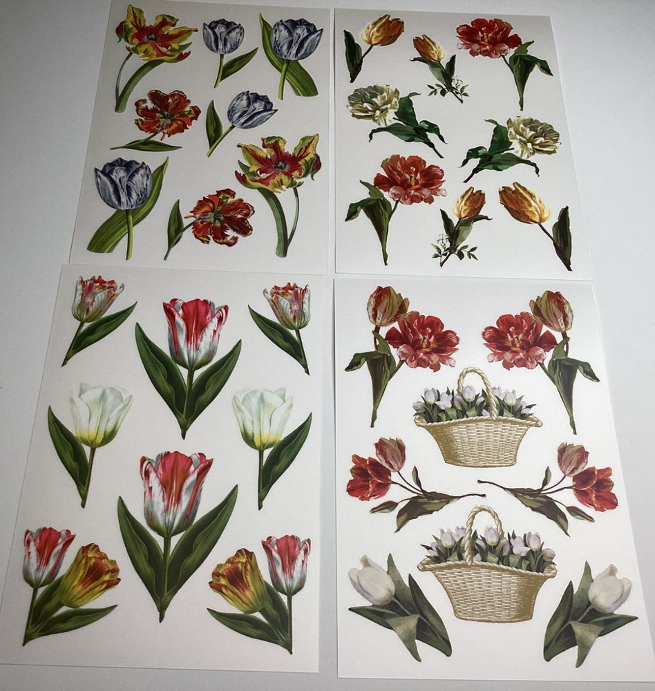 Anna Griffin Tulip Rub On Transfers