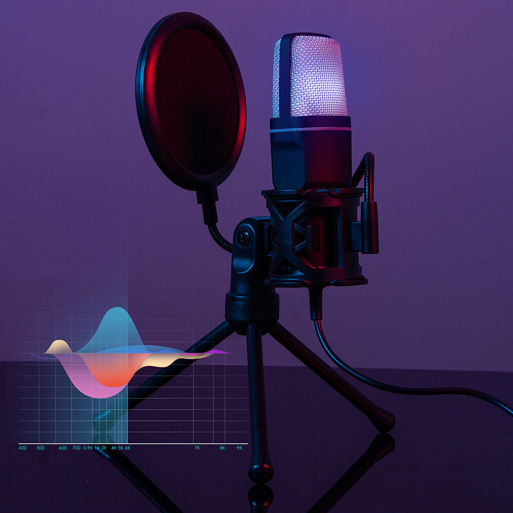 Microphone Mic Kit Broadcasting Singing Studio Recording Condenser For PC Laptop