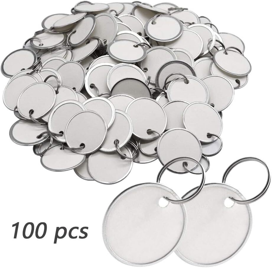 Paper Key Tags - 100 Pack Paper Key ID Label Name Tags with Split Ring, Keychain