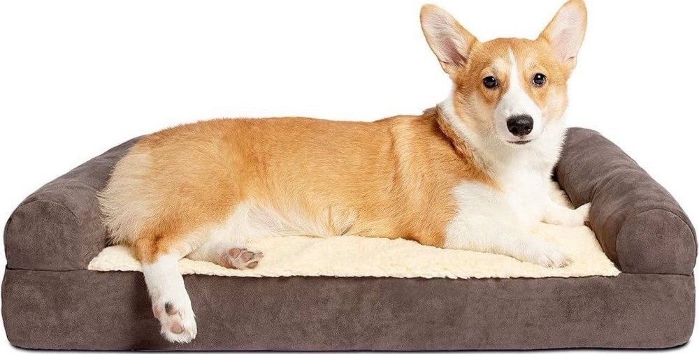 Ped Paw Dog Bed