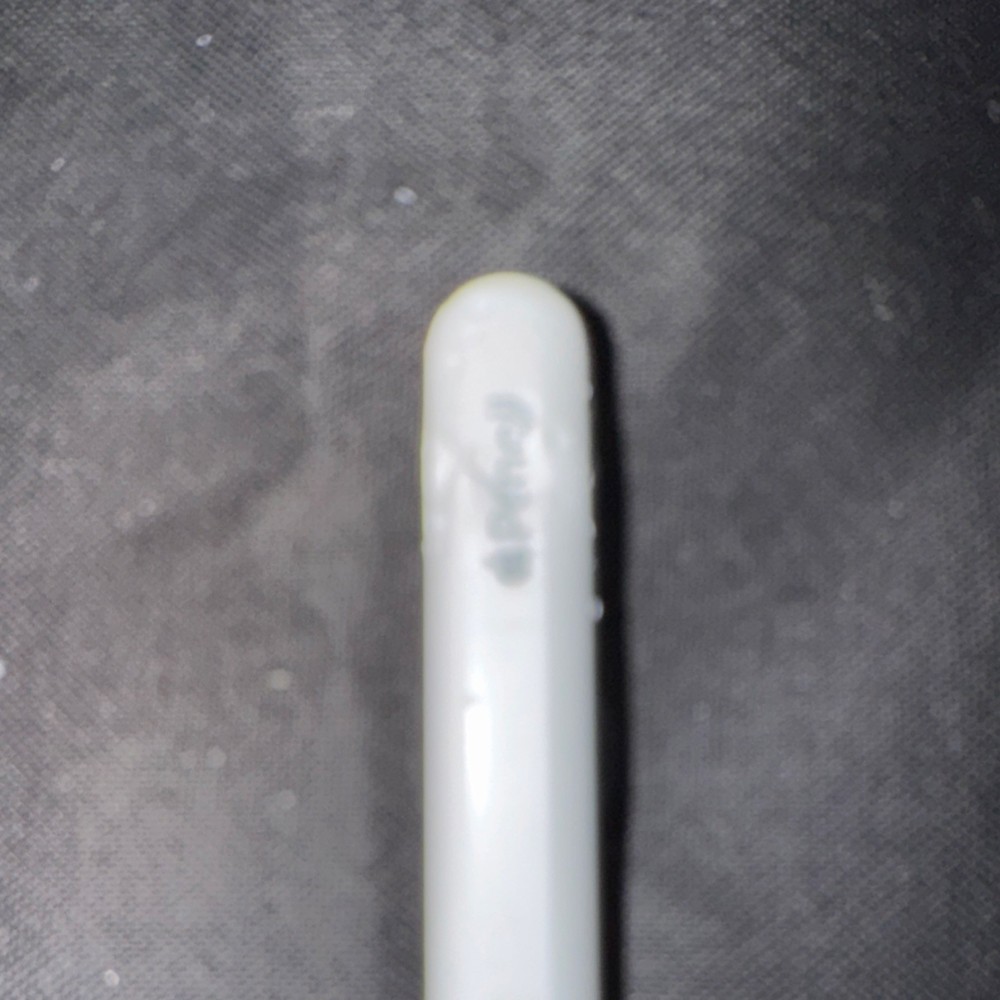 Apple Pencil White Stylus for Tablet Rigid Plastic