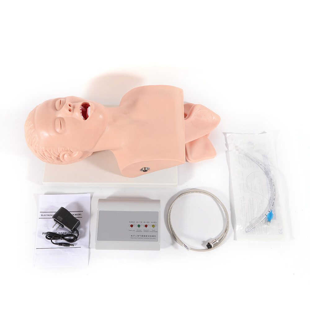 Intubation Manikin Study Teaching Simulator Airway Management Trainer Model