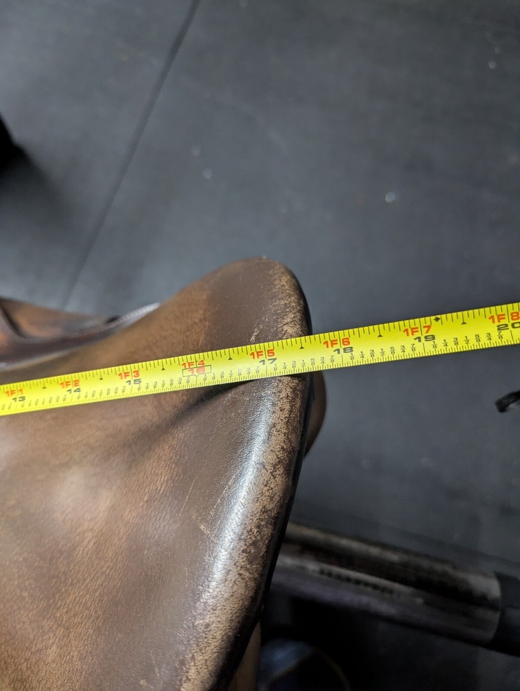 Collegiate 17" Saddle All Purpose