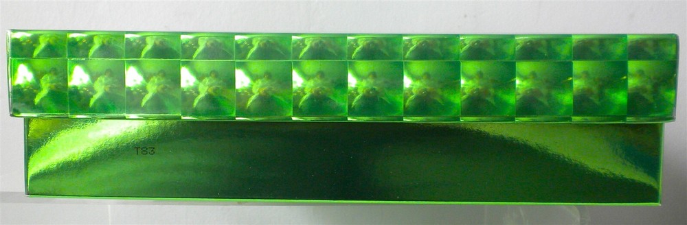BIGGER PRESCRIPTIVES EMPTY PRETTY SHINY 3D GREEN GIFT KEEPSAKE BOX 13" X9" X2.5"