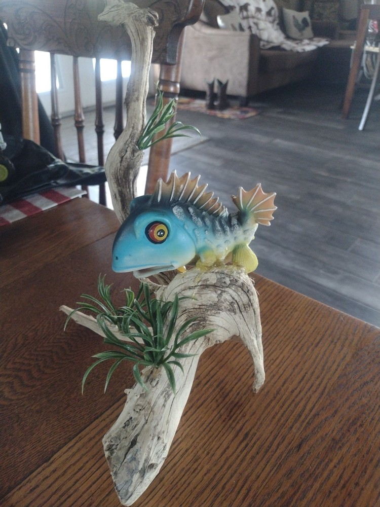 Moss Eater Flexi Fish On Driftwood