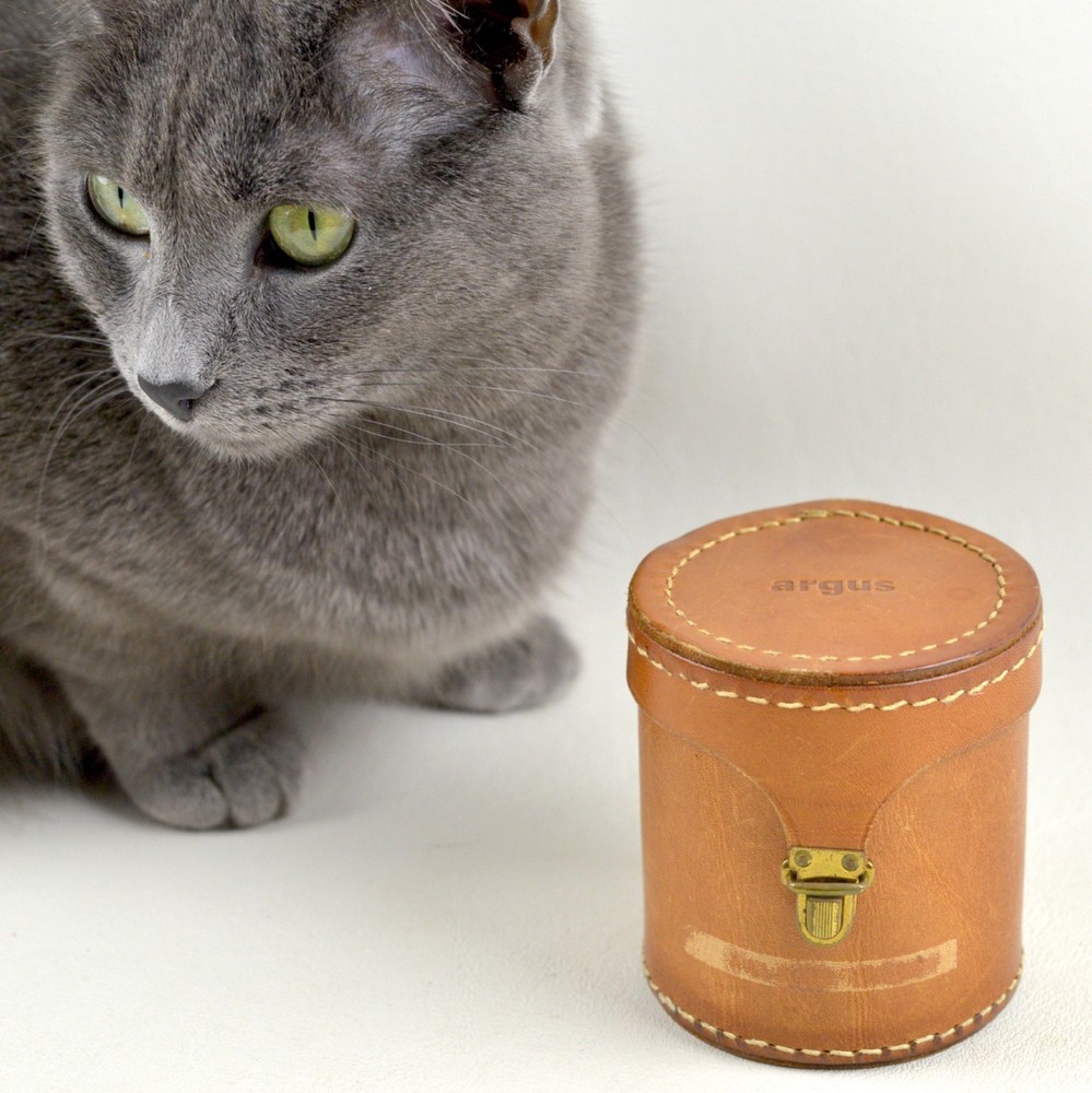 Argus Leather Lens Case
