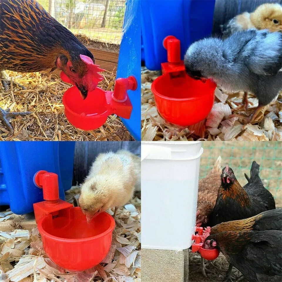 Automatic Water Cups Poultry Drinker Waterer Chicken Duck Quail Drinking 6 PCS