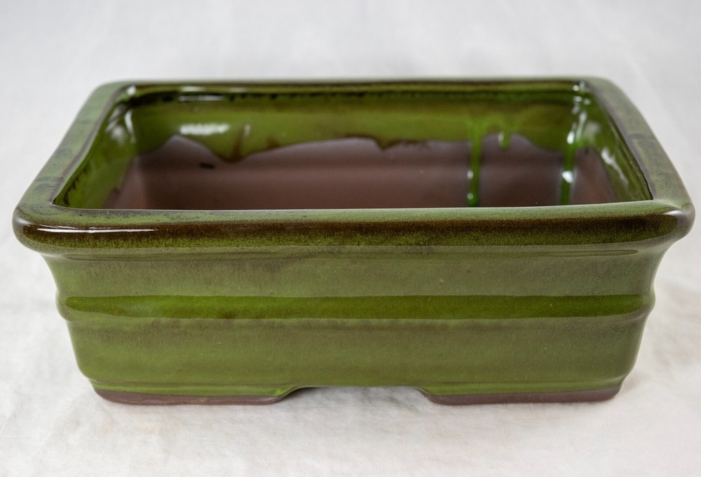 Rectangular Bonsai, Cactus & Succulent Pot 10"x 8"x 3.25" + Mesh - Moss Green