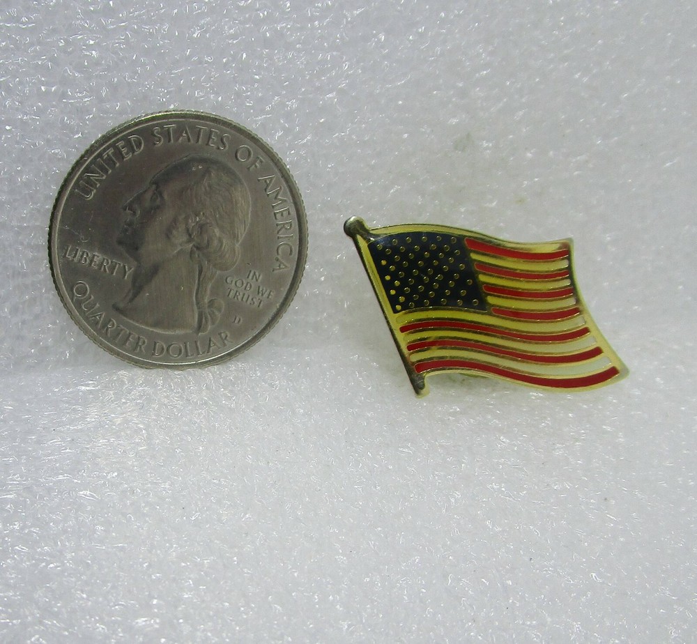 United States Flag Pin