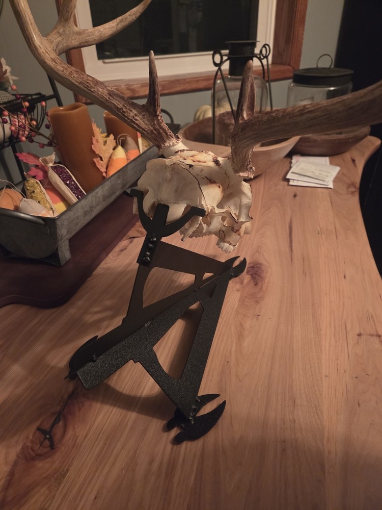 Table Top Deer Skull Hanger