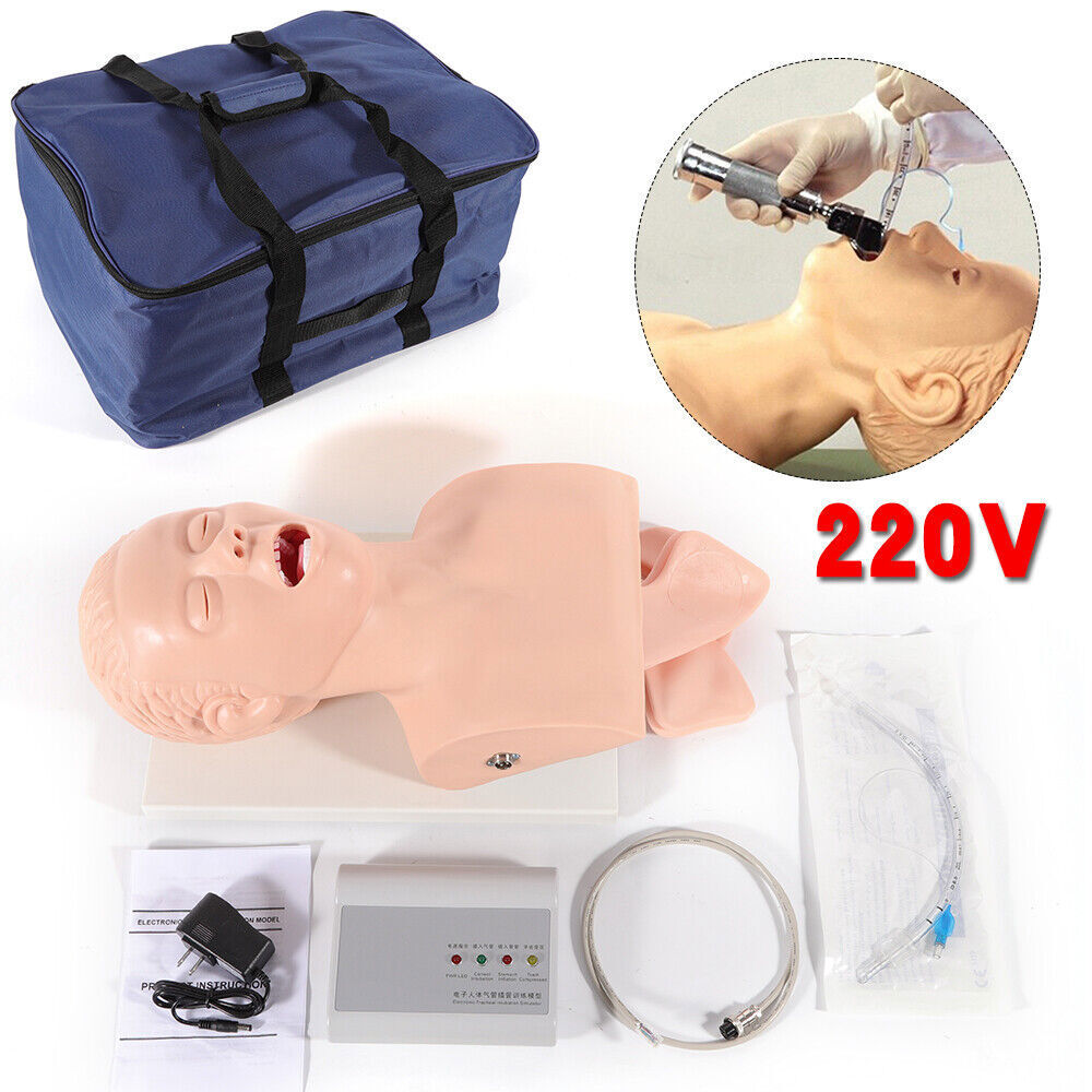 Intubation Manikin Study Teaching Simulator Airway Management Trainer Model Tool