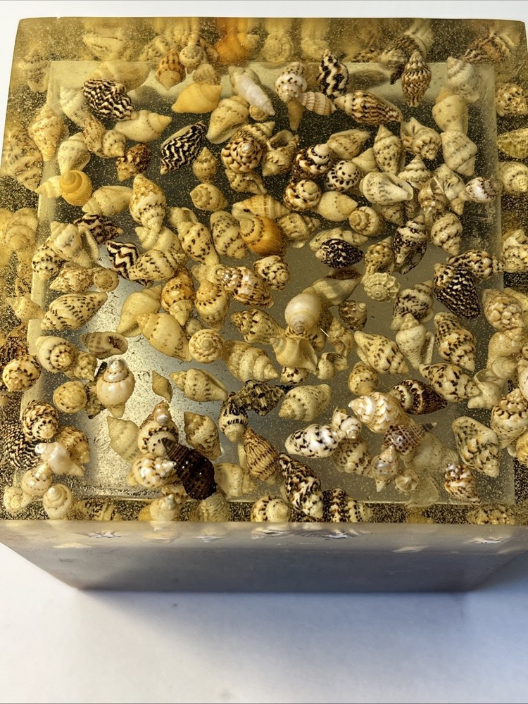 Artisanal Handmade resin container layered design with embedded natural shells
