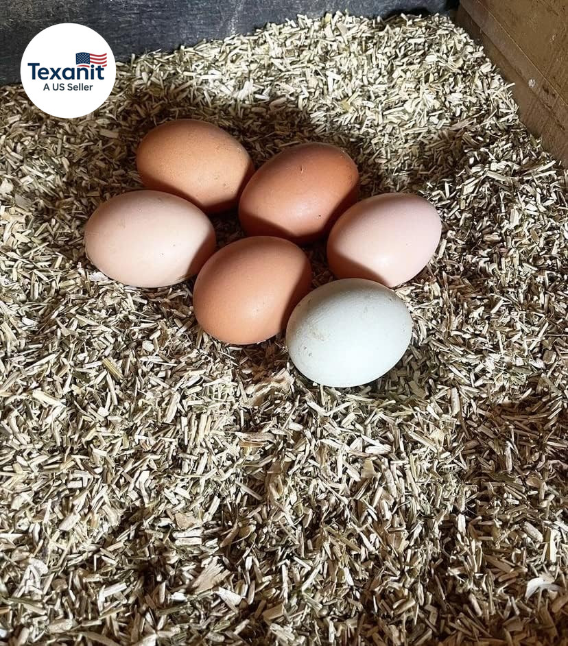 , Naturally Grown Hemp Pet Bedding for Chickens, Nesting Boxes, Rabbits, Hamster