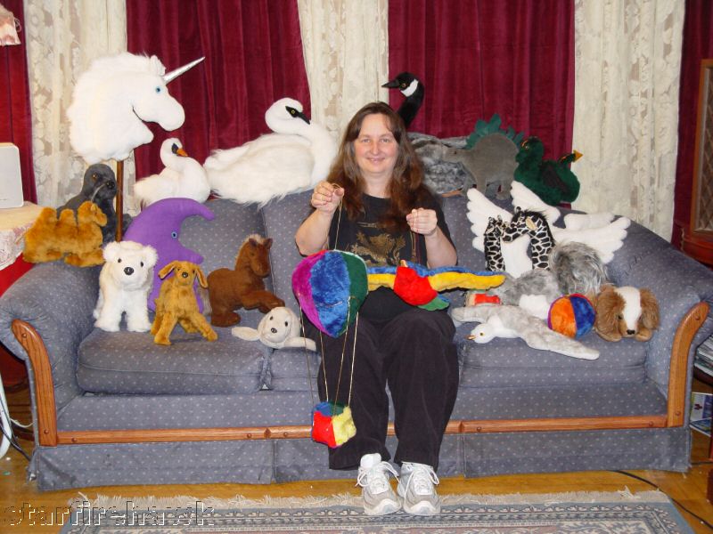 Polar, Brown Bear SEWING PATTERN Easy Instructions NEW!