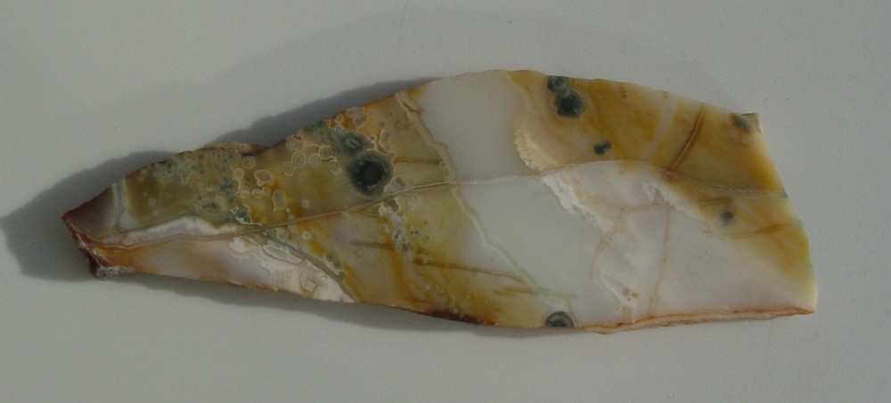 Ocean Jasper Lapidary Slab T936