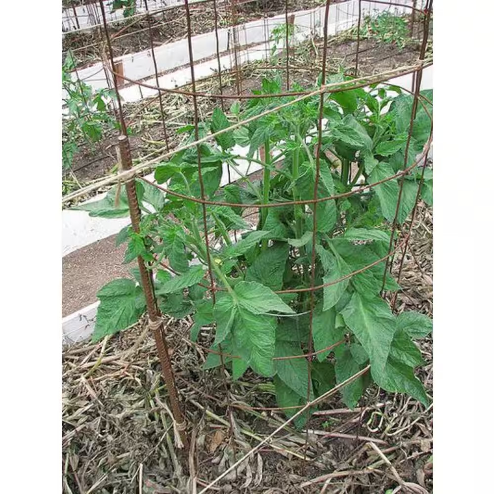 1/2 In. X 2 Ft. #4 Rebar (6-Per Bundle)