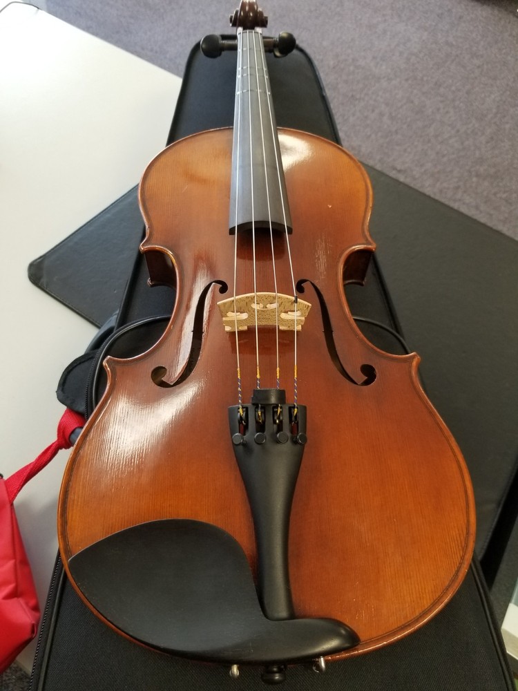 RSV Viola 16 1/2"