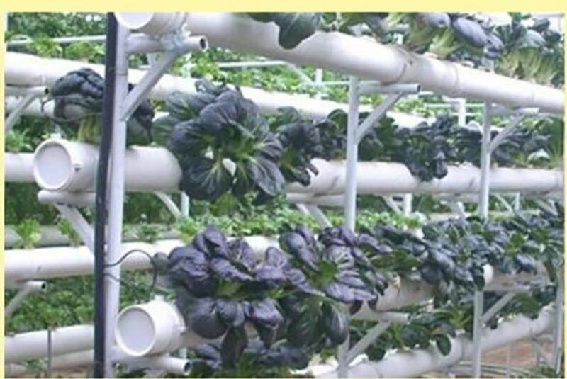Hydroponic Colonization Mesh Pot Net Cup Basket Aeroponic Planting Grow Clone