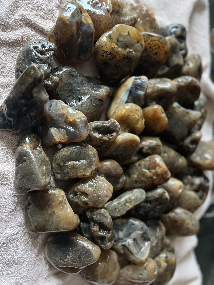 27 Lbs. Rough Montana Agate (46)