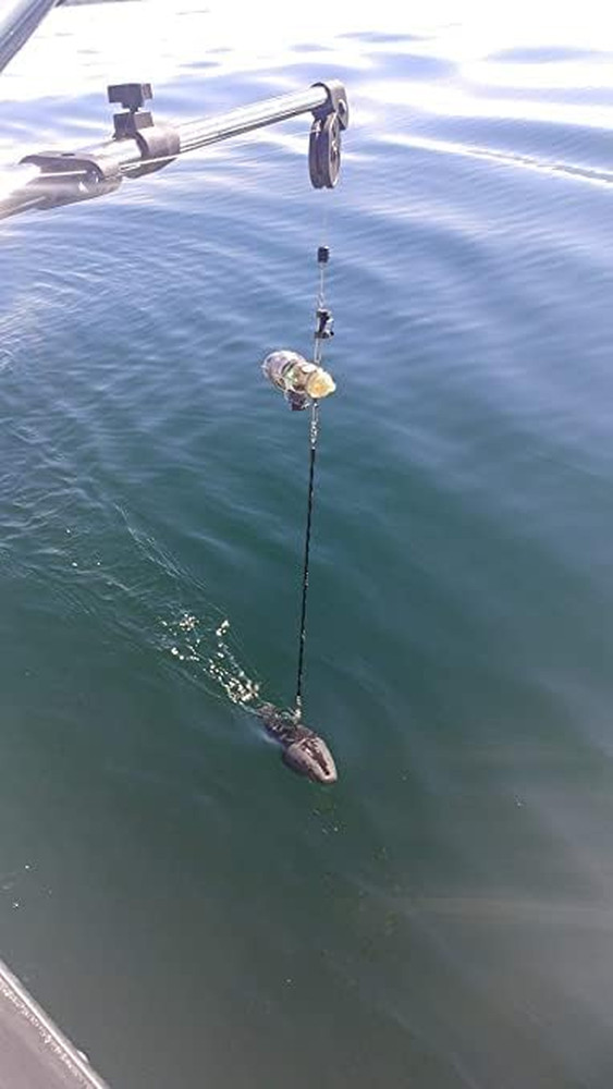Fish Thief Heavy Duty Downrigger Snubber Twin Pack, Black