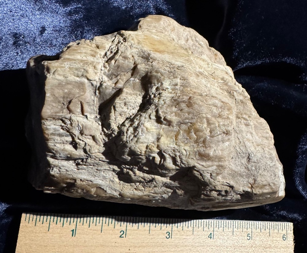 Petrified Opalized Wood Specimen Natural Form