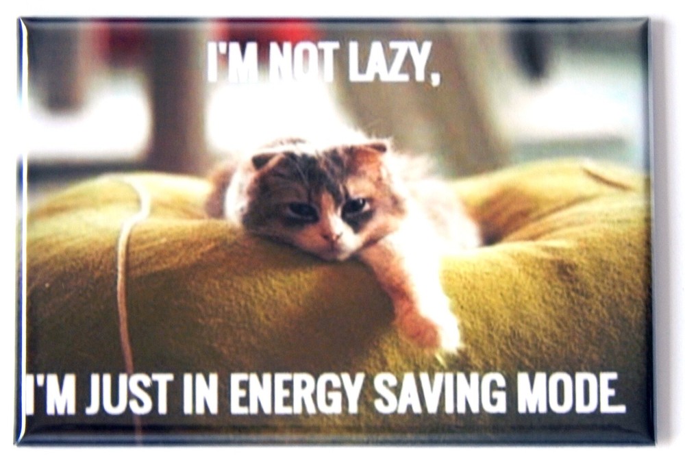 Cat Meme #52 FRIDGE MAGNET humor funny