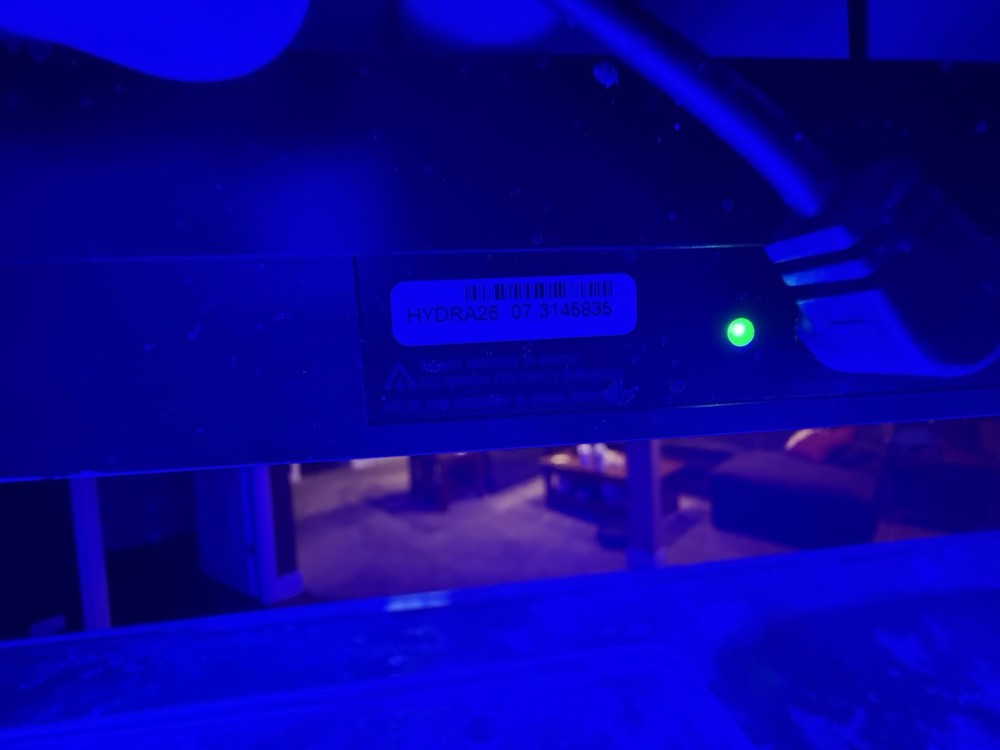 AquaIllumination Hydra 52 and 26s