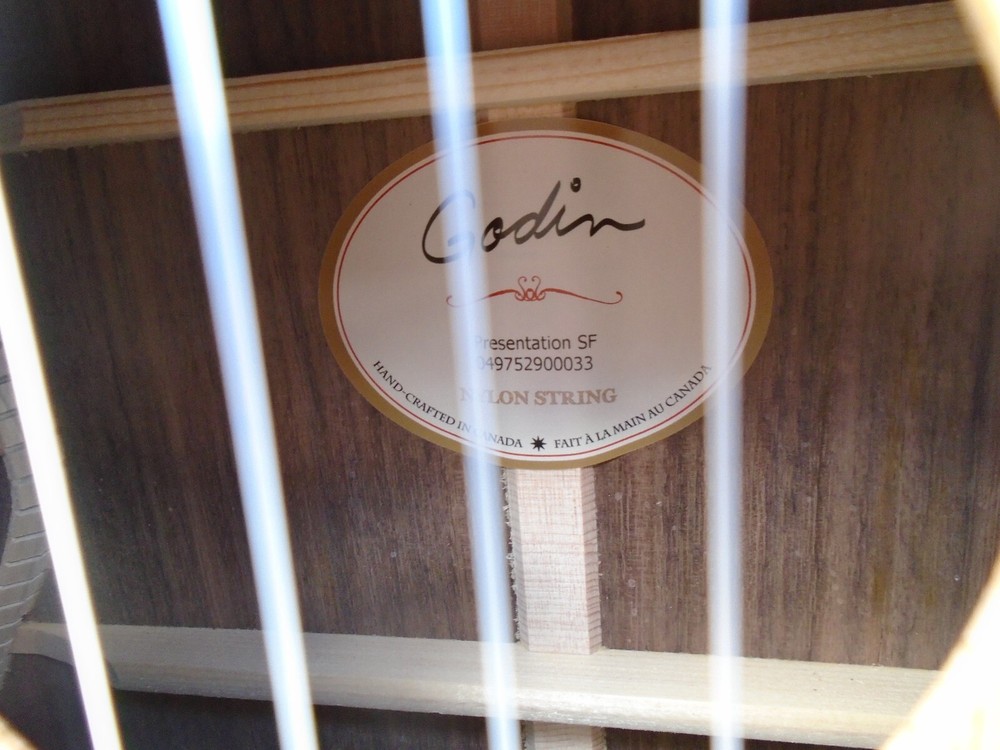 Godin Presentation Classical guitar w/hard case sf