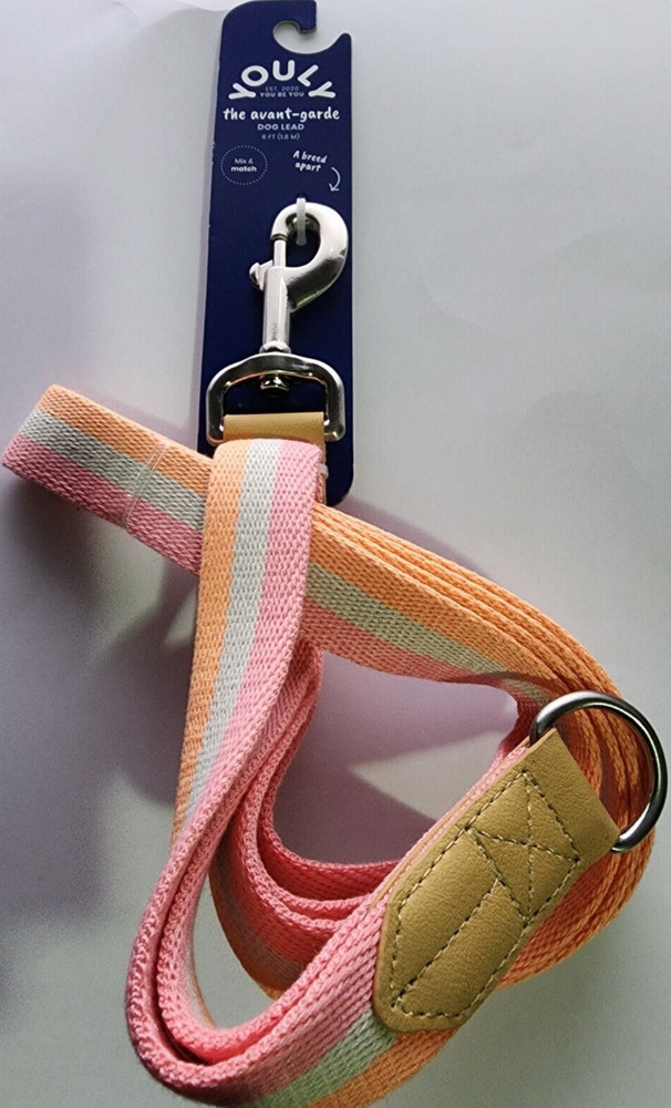 YOULY Creamsicle Dog Leash, 6 ft.