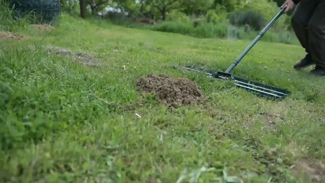 Lawn Leveling Rake - Stainless Steel 30"x10" Plate, 78" Adjustable Handle, Yard