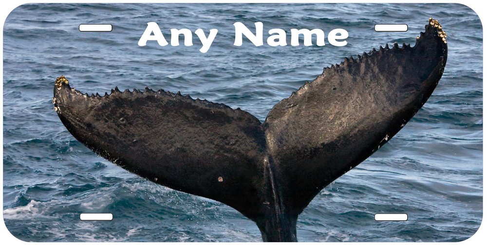 Whale Tail Any Name Personalized Novelty Car License Plate