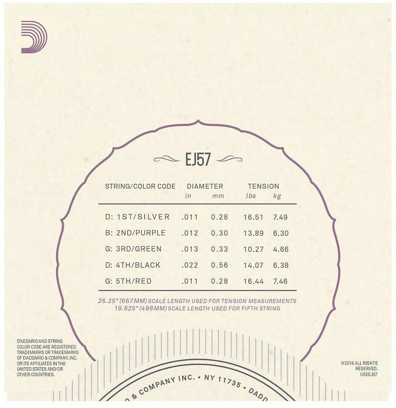 D'Addario EJ57 5-String Banjo Strings, Nickel, Custom Medium, 11-22