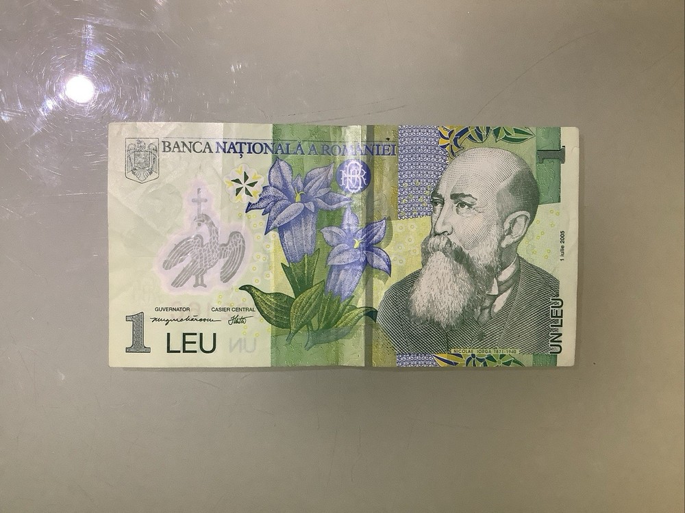 Romania 1 Leu 2005 Circulated