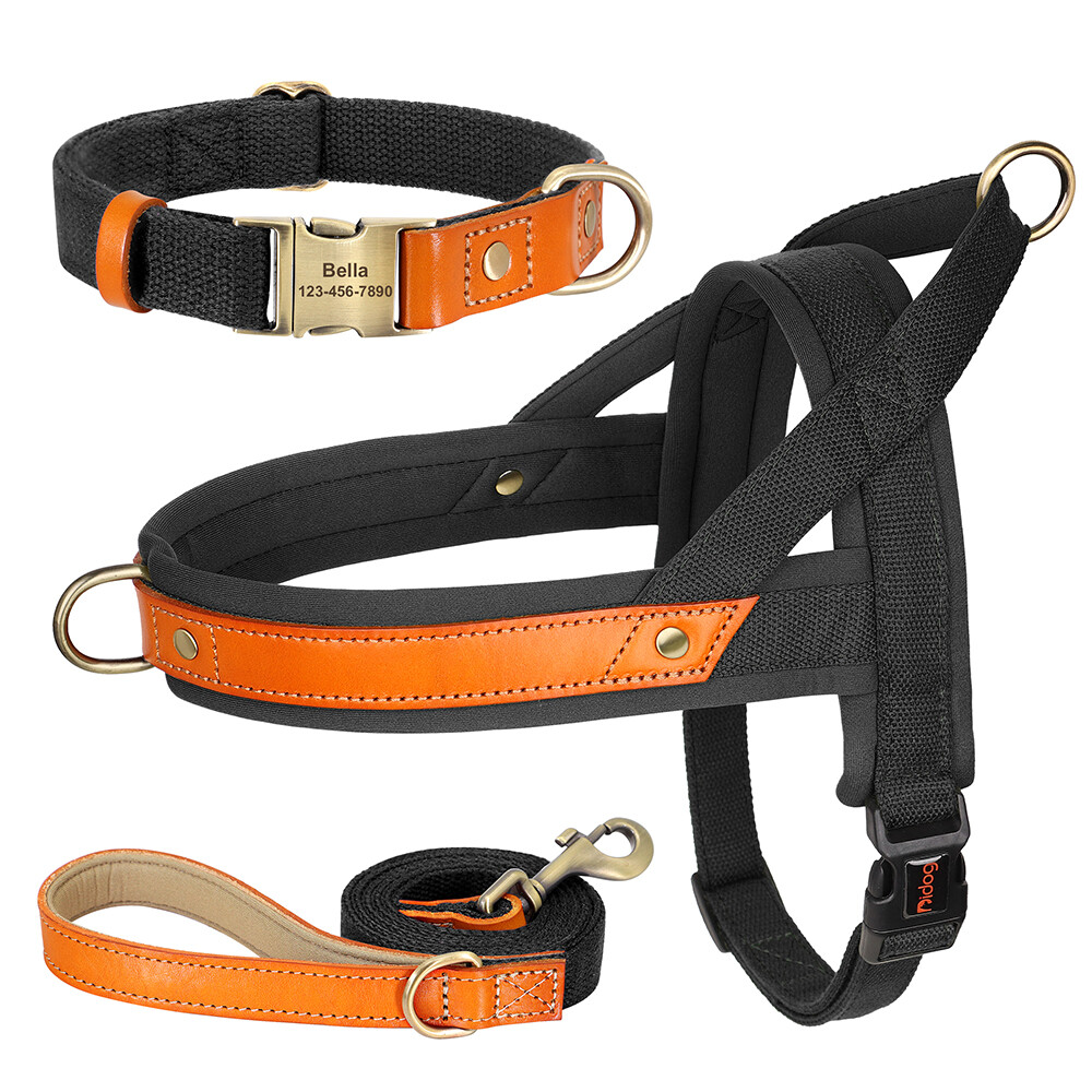 Personalized Dog Collar & Walking Leash & Soft Padded No Pull Vest Harness XS-L