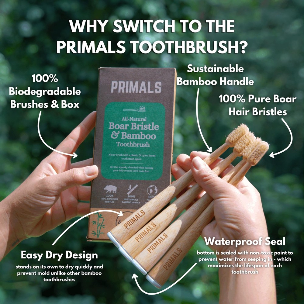 Bamboo Toothbrush 4-Pack Biodegradable Boar Bristles Plastic Free