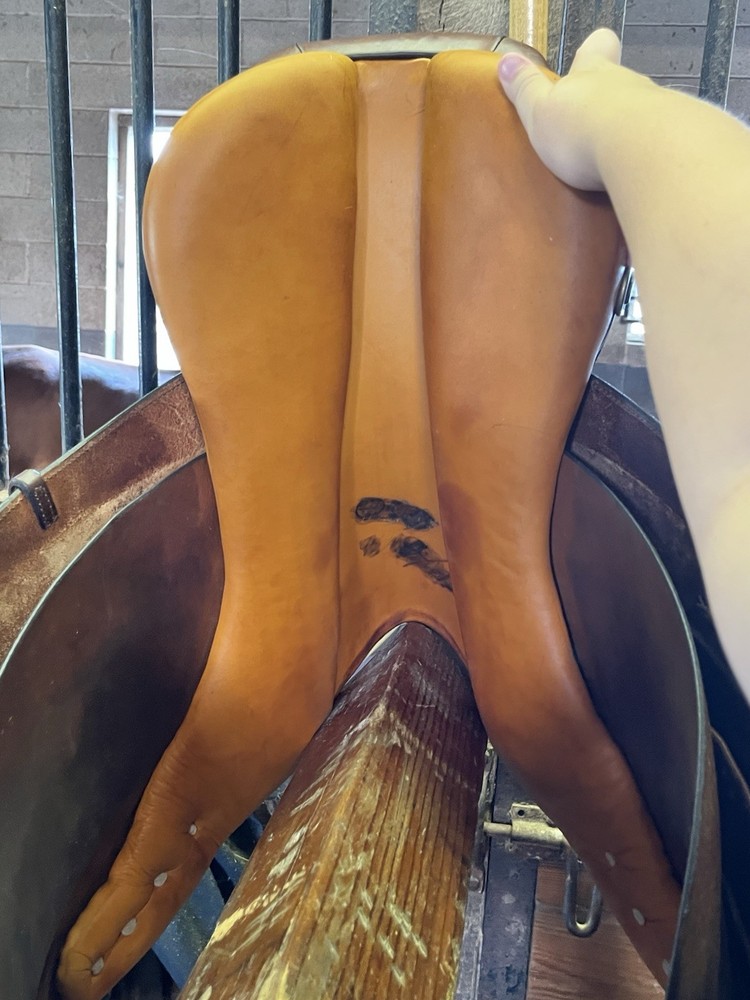 16.5 cambridge saddle medium gullet