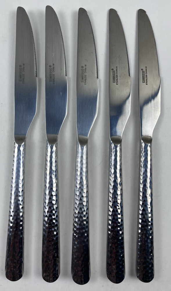 Cambridge Silversmiths Elsa Mirror Hammered Flatware Stainles Knife Replacement
